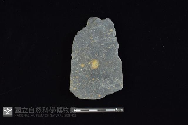 戈形器藏品圖，第2張