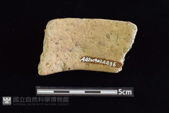 陶罐藏品圖，第2張