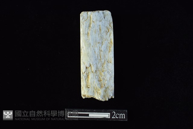 錛鑿形器藏品圖，第2張