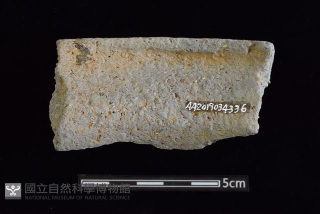 陶罐藏品圖，第2張