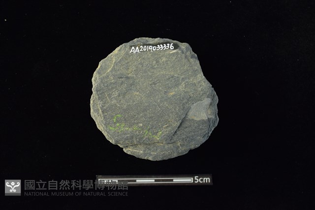 石圓片藏品圖，第2張