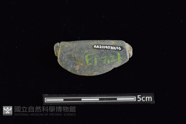 網墜藏品圖，第2張