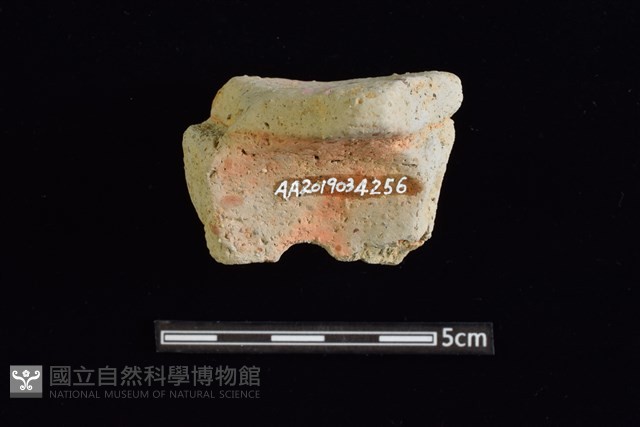 圈足藏品圖，第2張