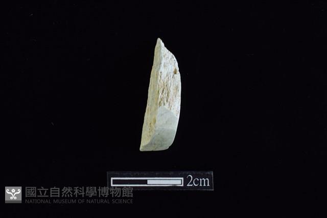 錛鑿形器藏品圖，第1張