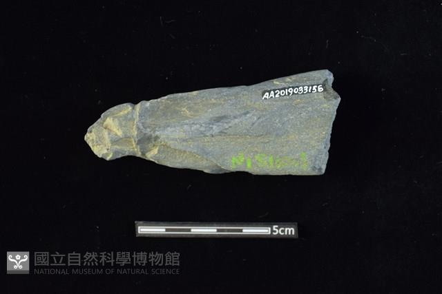 網墜藏品圖，第2張