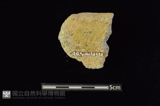 陶罐藏品圖，第2張