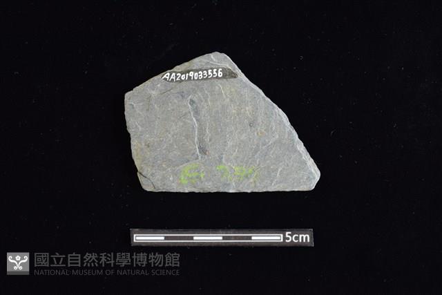 石材藏品圖，第2張