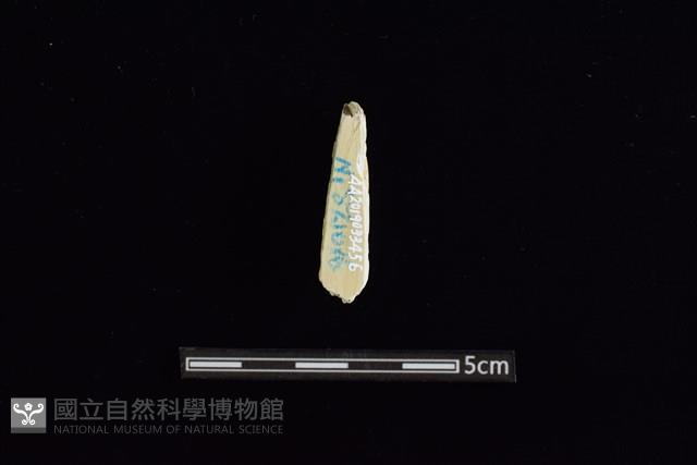 玉料藏品圖，第2張