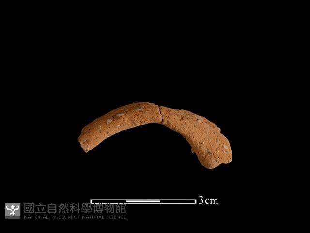 Accession Number:BY-2017-0956 Collection Image, Figure 1, Total 2 Figures