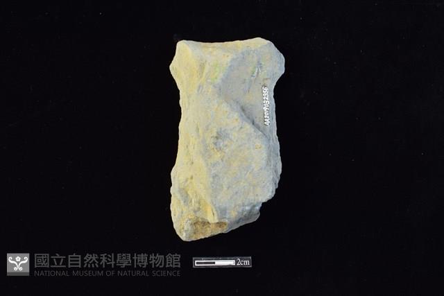 斧鋤形器藏品圖，第2張