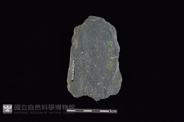 戈形器藏品圖，第2張