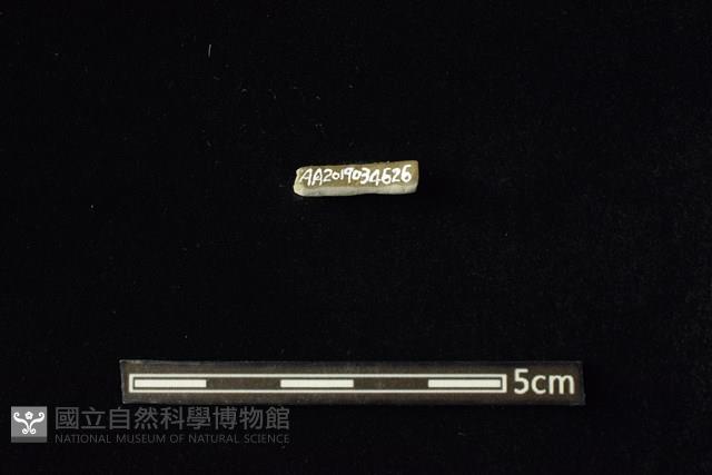 陶環藏品圖，第2張