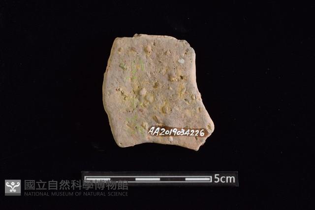 陶片藏品圖，第2張