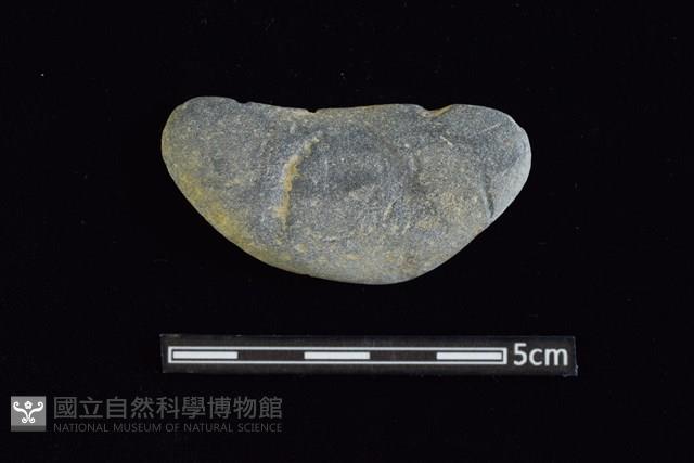 網墜藏品圖，第1張