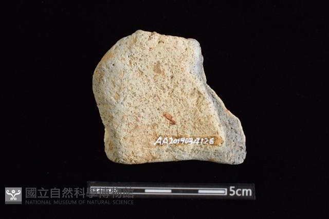 陶罐藏品圖，第2張