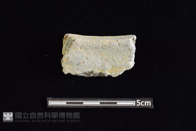 陶缽藏品圖，第2張