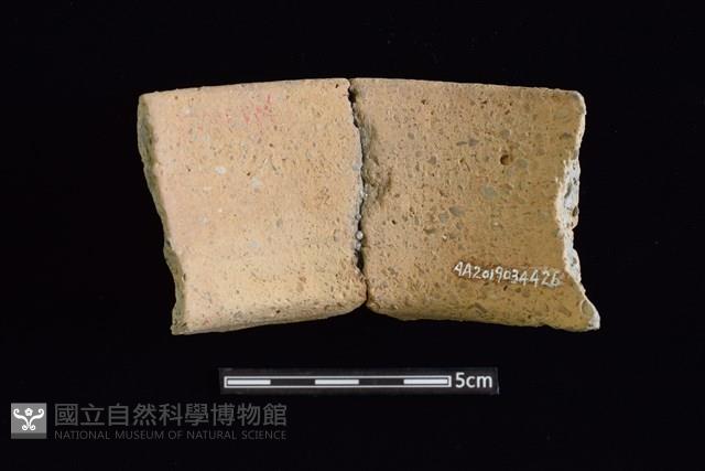 陶罐藏品圖，第2張