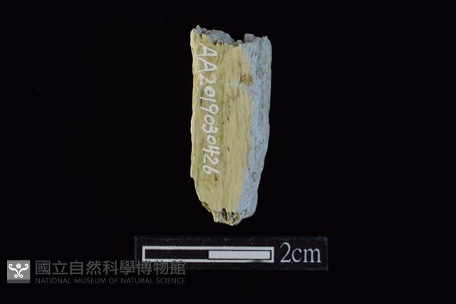 錛鑿形器藏品圖，第2張