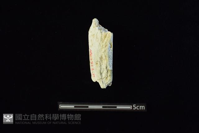 玉料藏品圖，第2張