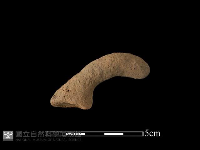 陶把藏品圖，第1張