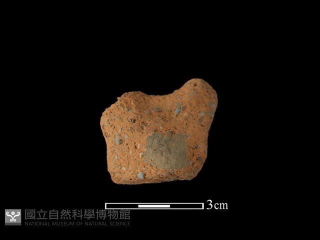 陶蓋鈕藏品圖，第1張