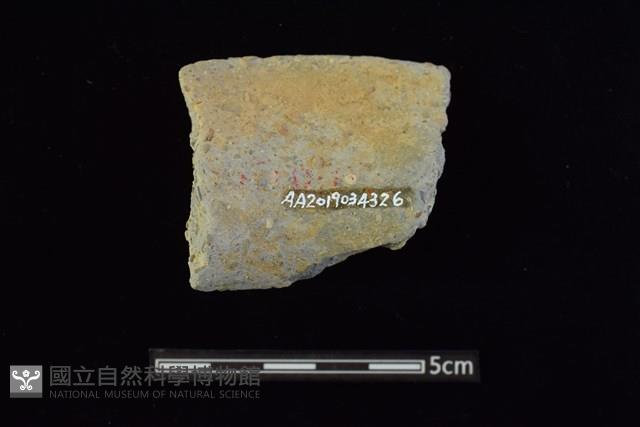 陶罐藏品圖，第2張