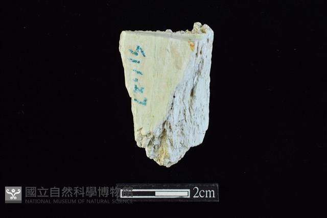錛鑿形器藏品圖，第2張