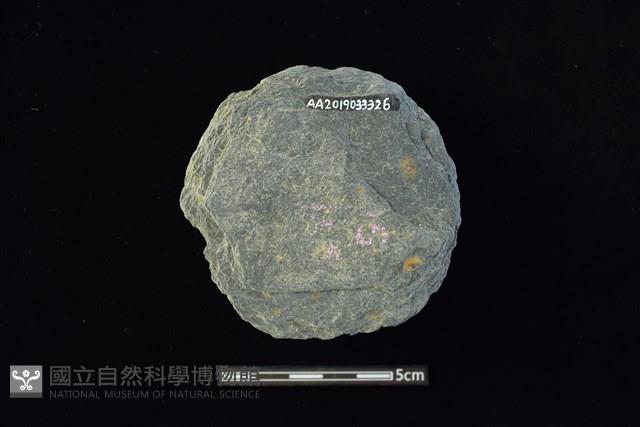 石圓片藏品圖，第2張