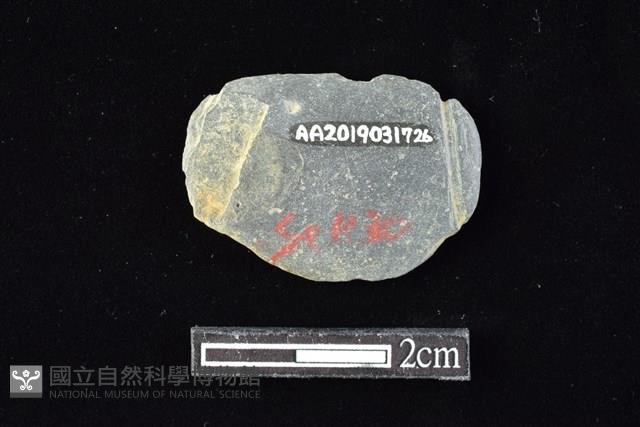 網墜藏品圖，第2張