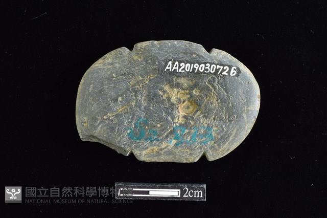 網墜藏品圖，第2張