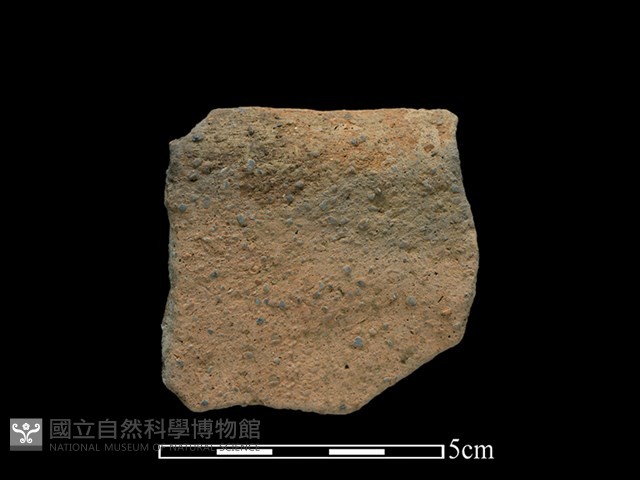 陶罐藏品圖，第2張