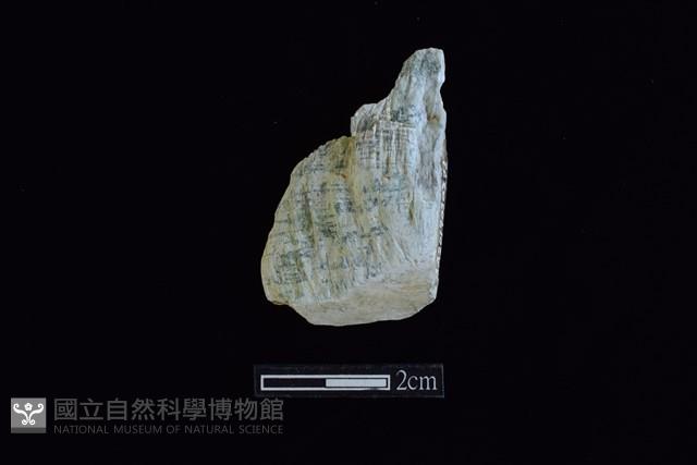 錛鑿形器藏品圖，第1張