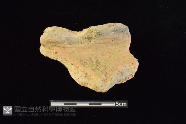 陶罐藏品圖，第1張