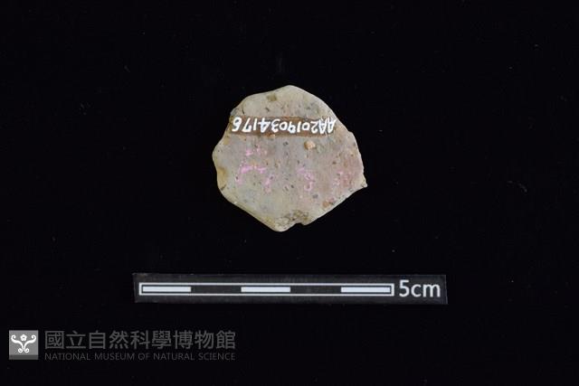 陶片藏品圖，第2張