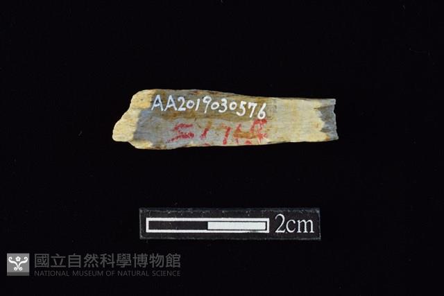玉環藏品圖，第2張