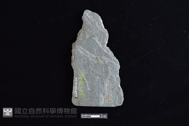 戈形器藏品圖，第2張