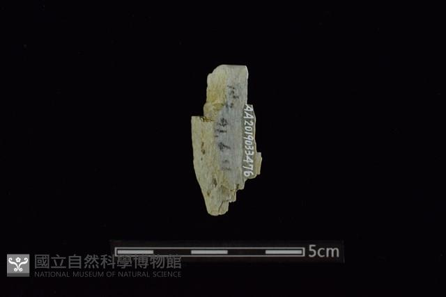 玉料藏品圖，第2張