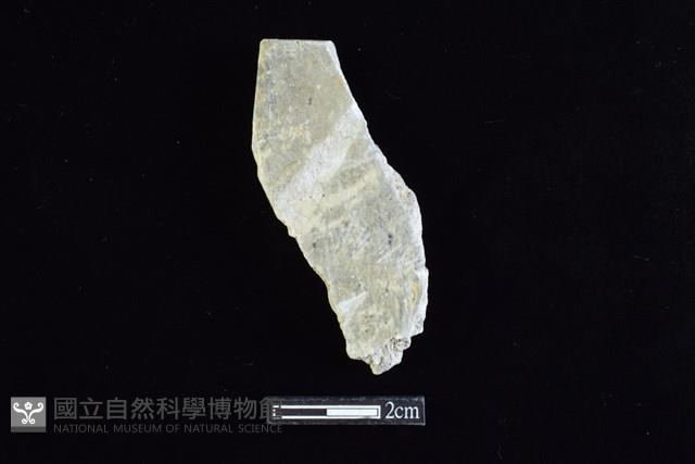 錛鑿形器藏品圖，第2張