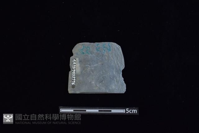 矛鏃形器藏品圖，第2張