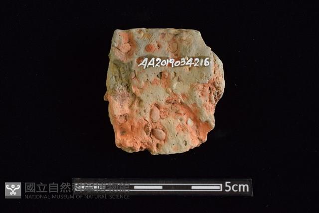 陶片藏品圖，第2張