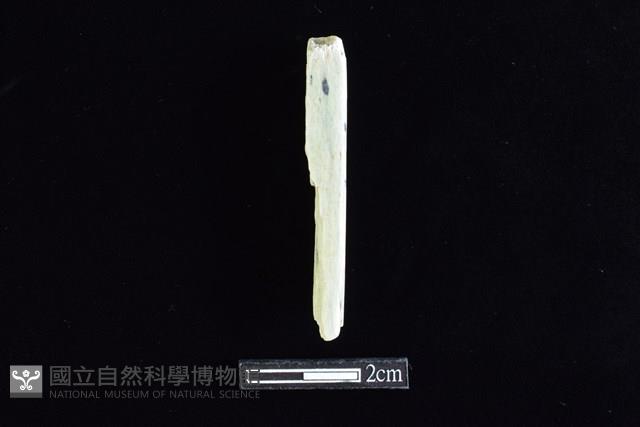 錛鑿形器藏品圖，第2張