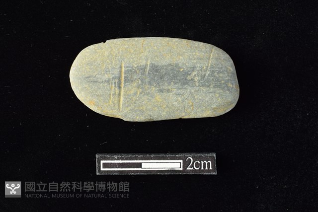 網墜藏品圖，第1張