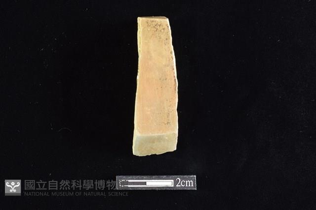 錛鑿形器藏品圖，第1張