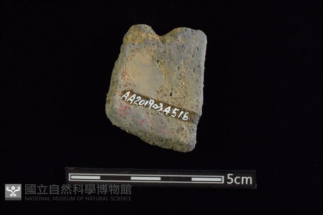 陶罐藏品圖，第2張