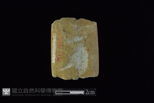 錛鑿形器藏品圖，第2張