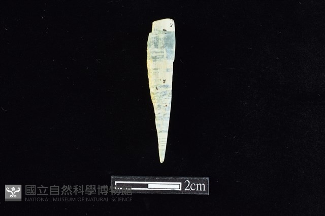 錛鑿形器藏品圖，第2張