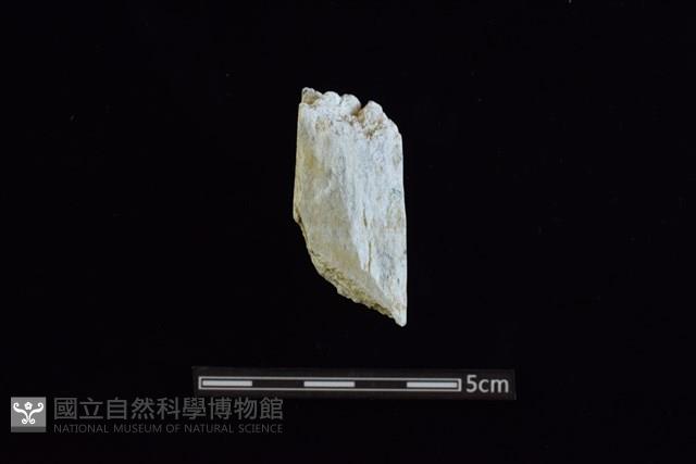 玉料藏品圖，第2張