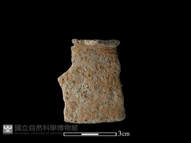 陶片藏品圖，第1張