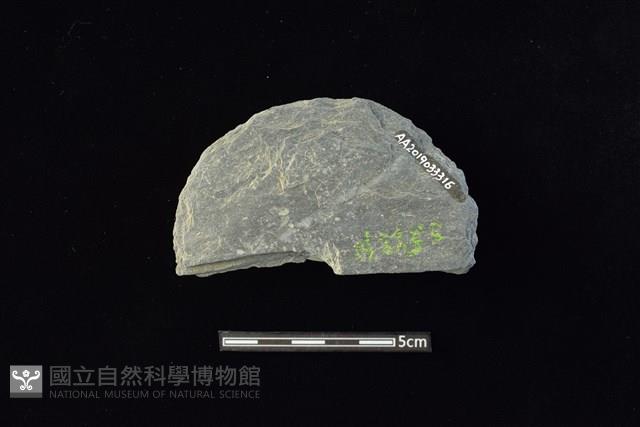 穿孔石板藏品圖，第2張