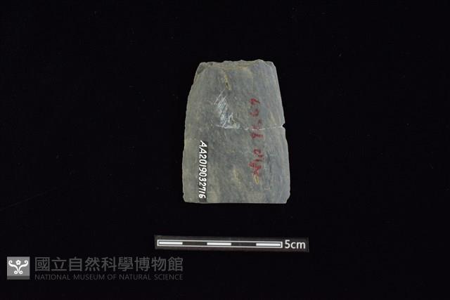 矛鏃形器藏品圖，第2張